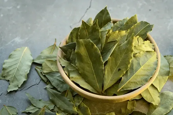 different-types-of-bay-leaves