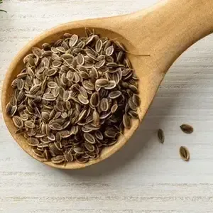 Uses of Dill Seeds, Health Benefits, Side Effects, and More