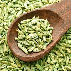 Buy Fennel Seeds for Planting