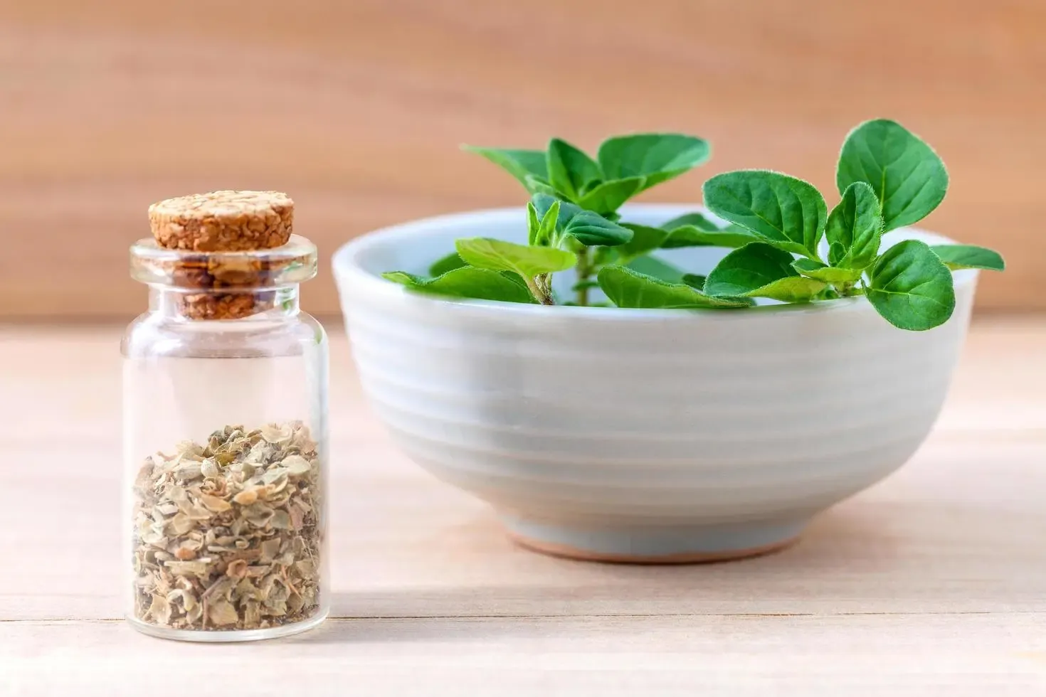 Oregano: Uses, Taste, Varieties, Substitute and Oil