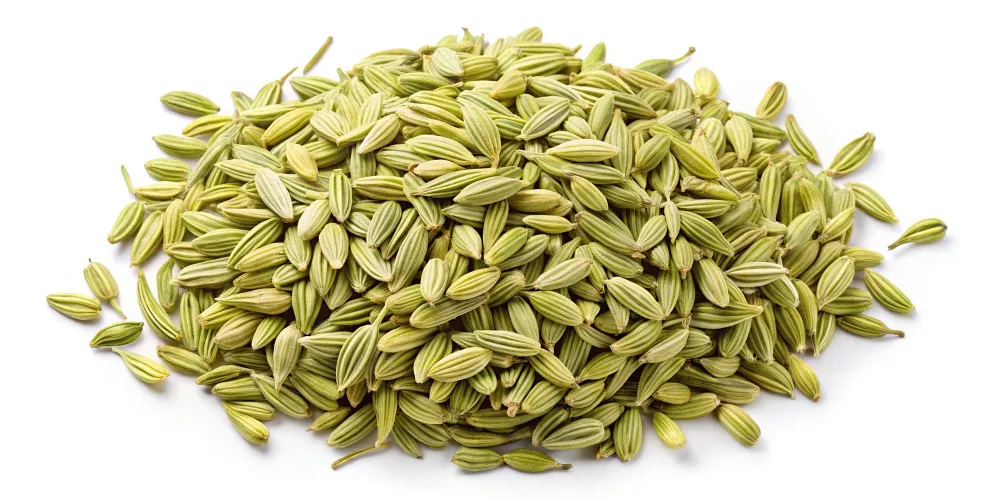 Uses of Dill Seeds Health Benefits Side Effects and More