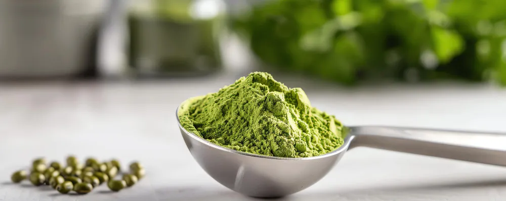 Comprehensive Guide| How to Use Green Leaf Stevia Powder - Zesty Hut best Spices formulas in USA