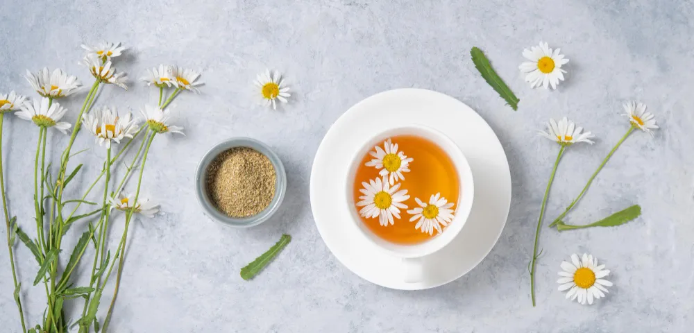 Chamomile Anise Tea Benefits| Side Effects | How to Make - Zesty Hut best Spices formulas in USA