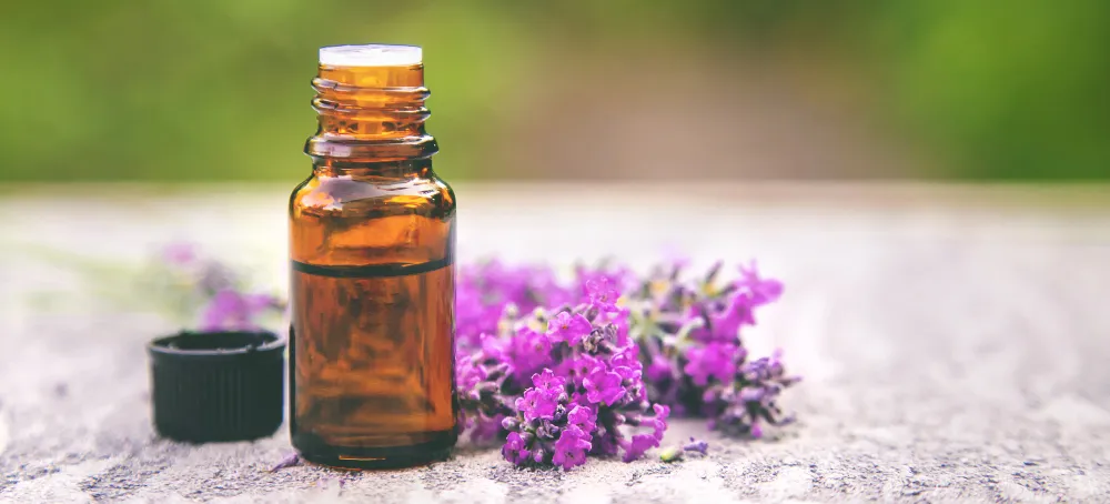 Clary Sage vs. Sage Oil| Is Clary Sage The Same as Sage Oil - Zesty Hut best Spices formulas in USA