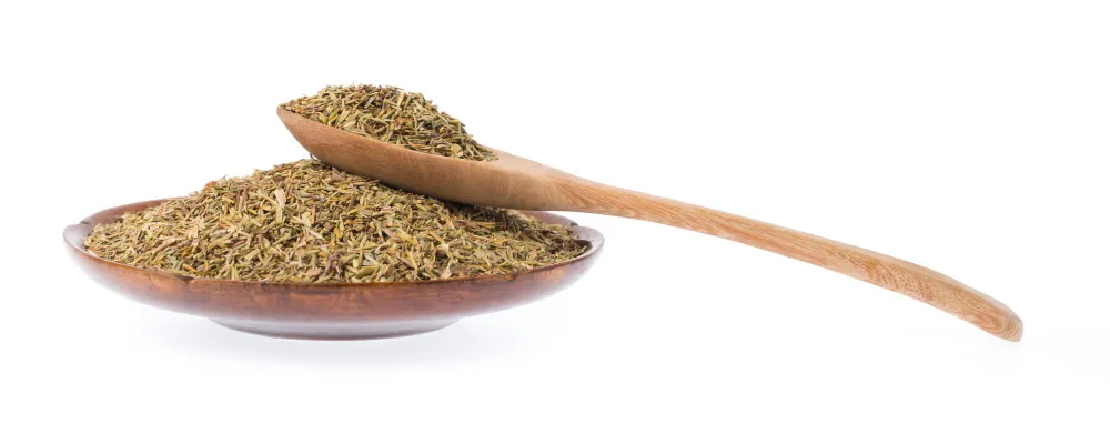 Uses for Dried Mint - Zesty Hut best Spices formulas in USA