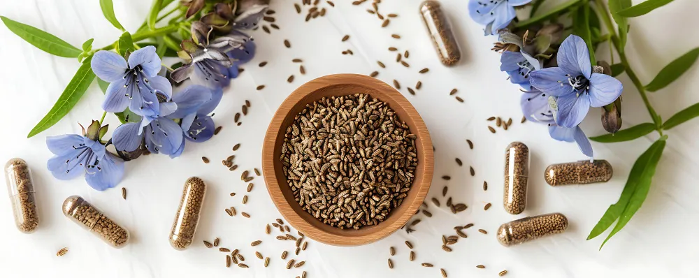 Discover Amazing Anise Seed for Hair Growth - Zesty Hut best Spices formulas in USA