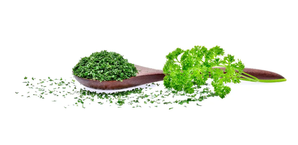 Best Method to Dry Parsley - Zesty Hut best Spices formulas in USA