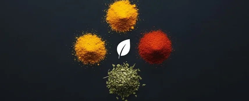 How to Make Your Own Seasoning Like a Pro Chef - Zesty Hut best Spices formulas in USA
