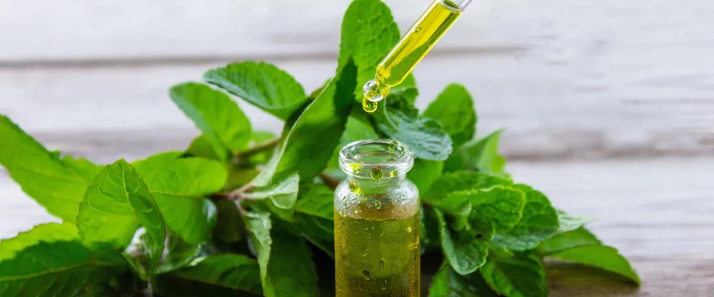 Oregano Oil For Tooth Infection - Zesty Hut best Spices formulas in USA