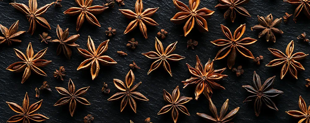 Anise| An Overview - Zesty Hut best Spices formulas in USA