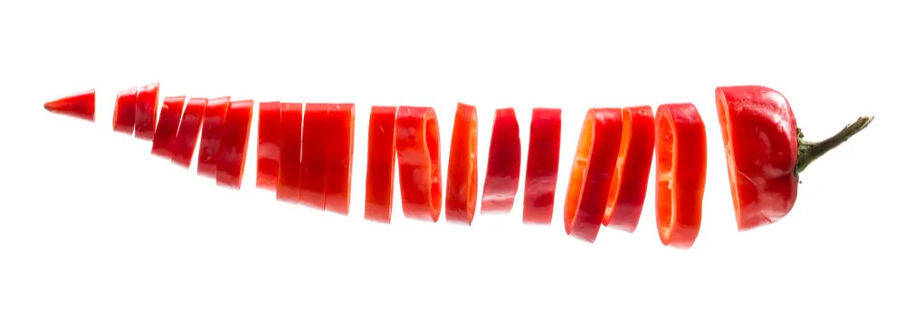 All You Need to Know About Arbol Chili - ZestyHut best Spices formulas in USA