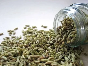 Fennel Seeds An Overall Overview 