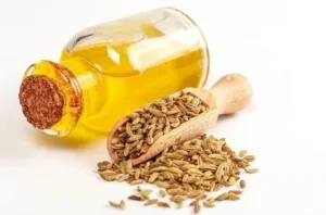 Fennel Seeds An Overall Overview 