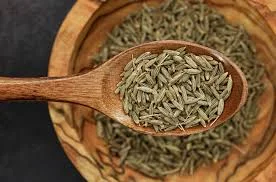 Fennel Seeds An Overall Overview 