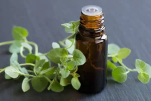 Oregano Uses, Taste, Vairities, Substitute and Oil