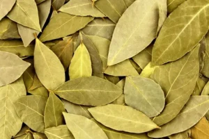 What is Bay Leaf, Benefits, Uses, Taste and More