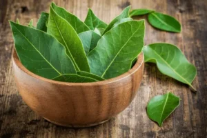 What is Bay Leaf, Benefits, Uses, Taste and More