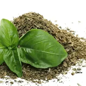 Fresh Basil versus Dried Basil