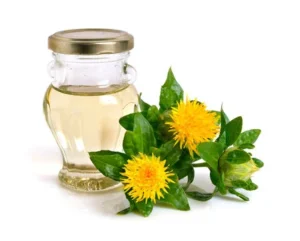 Safflower Plant Uses 