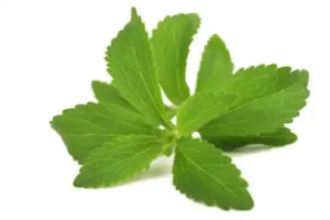  benefits of stevia leaf powder