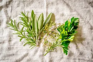 types of herbs are substitutes for thyme and sage