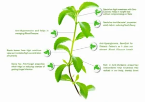 whole leaf stevia extract organic