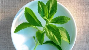 whole leaf stevia extract organic